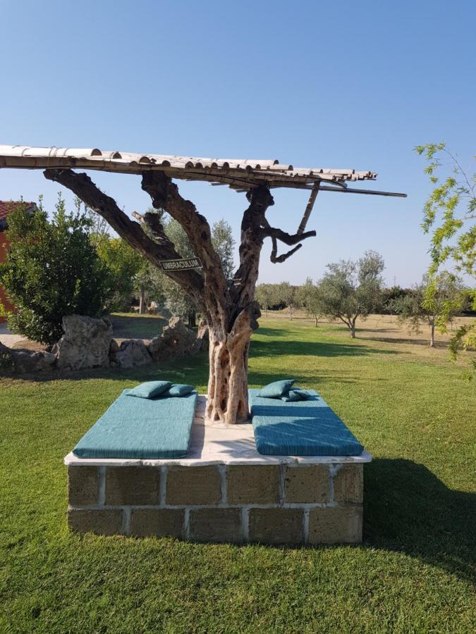 Pensjonat Casa Daniele Canino Zewnętrze zdjęcie